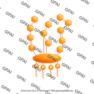 Lipopolysaccharide structure