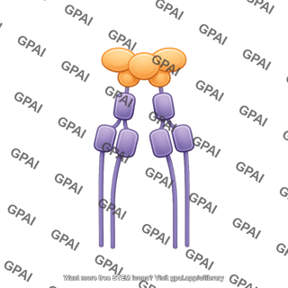 Tnf tnfr complex soluble tnf top view