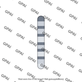 Mouse karyotype chromosome 10