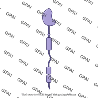 Gucy2c receptor monomer