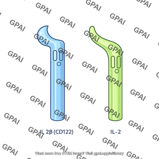 Il 2 subunit il 2b cd122 245