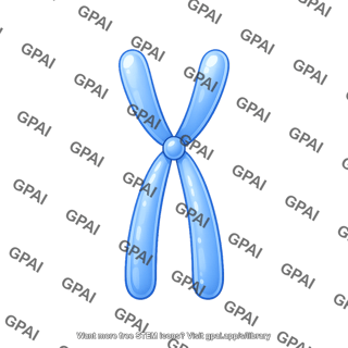 Chromosome simple metacentric