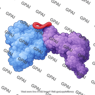 Fusion toxic protein ftp
