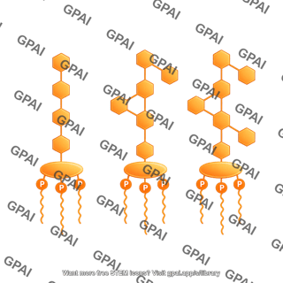 Lipopolysaccharide 3