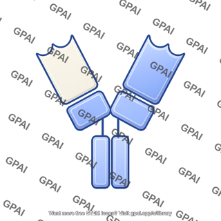 Antibody fragment fab