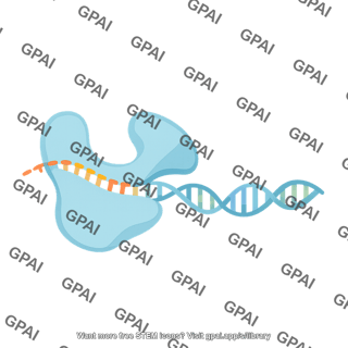 Reverse transcriptase 1
