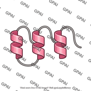 Albumin binding domain 737
