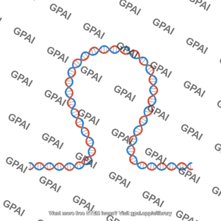 Dna loop medium