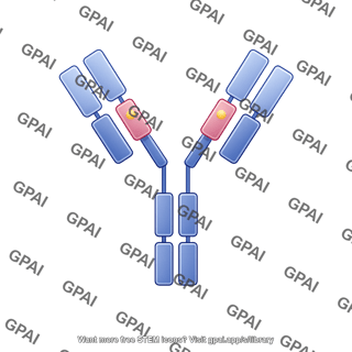 Antibody 6 fc domains editable