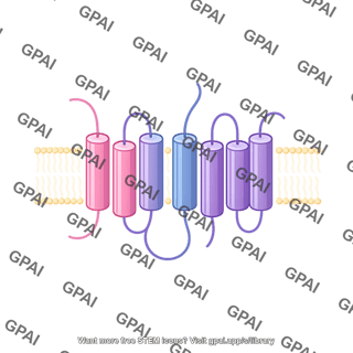 Gamma secretase