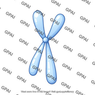 Chromatid simple submetacentric