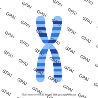 Chromosome schematic with bands