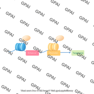 Gene regulation diagram