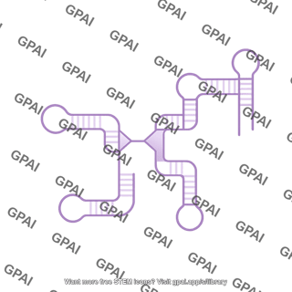 Ribozyme