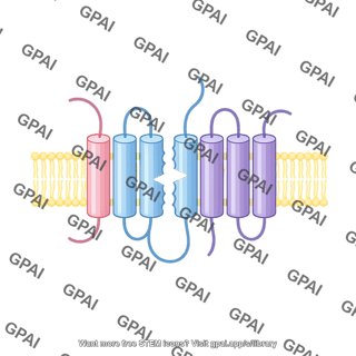 Gamma secretase with cleaved presenilin 1
