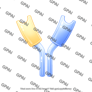 Antibody fragment hinge region without bonds editable