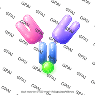 Antibody round style with bright fluorophore editable