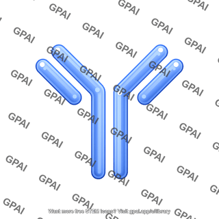 Antibody