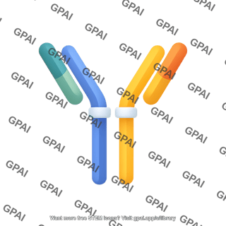 Bispecific antibody round style editable