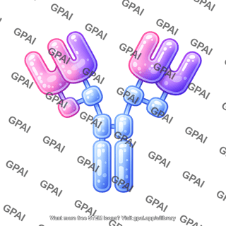 Antibody igm round style