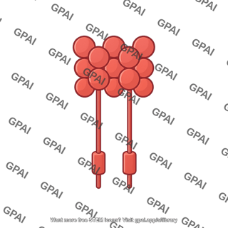 Cd137 trimer