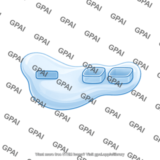 Ribosome 30s with docking sites