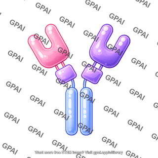 Antibody round style chimeric