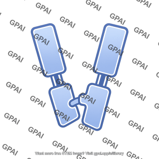Antibody fragment fc heterodimer editable