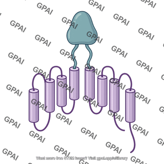 Gamma secretase nicastrin