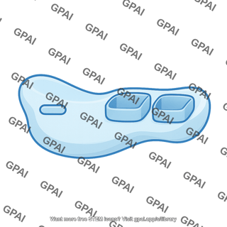 Ribosome 30s with docking sites 2