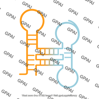 Pseudoknot hlin type 64