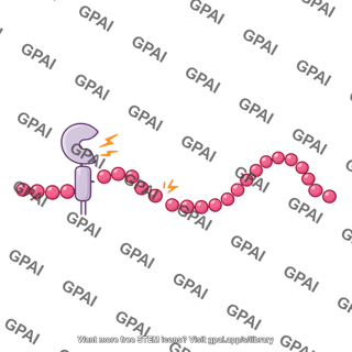 Glp 1 cleavage by soluble dpp 4