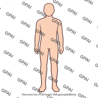 Human bipedal standing
