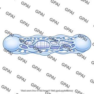 Sarcoplasmic reticulum