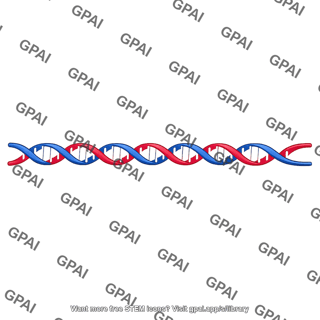 Dna double helix