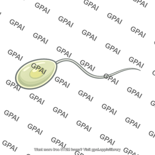 Zoospore single flagellum