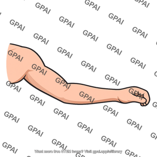 Human arm shoulder to forearm