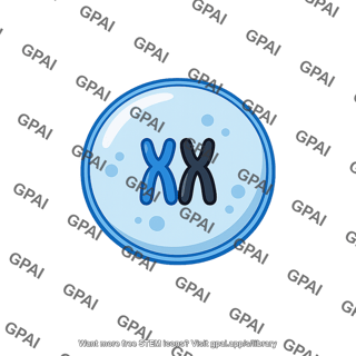 Diploid cell chromosomes
