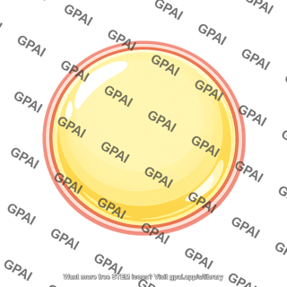 Lipid droplet