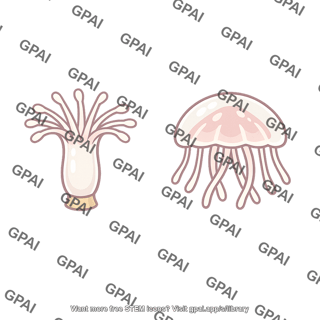Hydrozoan