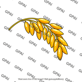 Golden rice