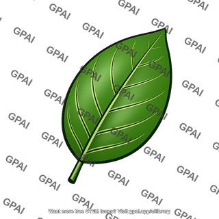 Privet leaf