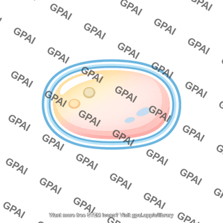 Organelle membrane enclosed