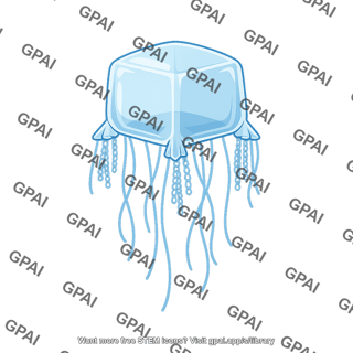 Cubozoan