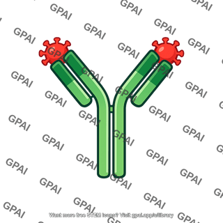 Variant b antibody