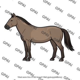 Equus