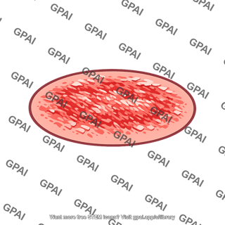Marbled meat slice