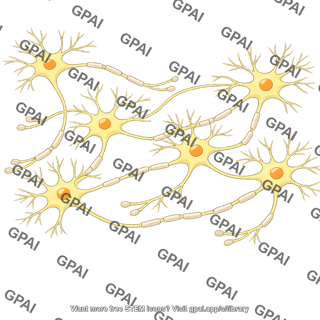 Neuron network