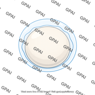 Fertilization envelope