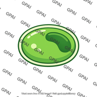 Green algal cell